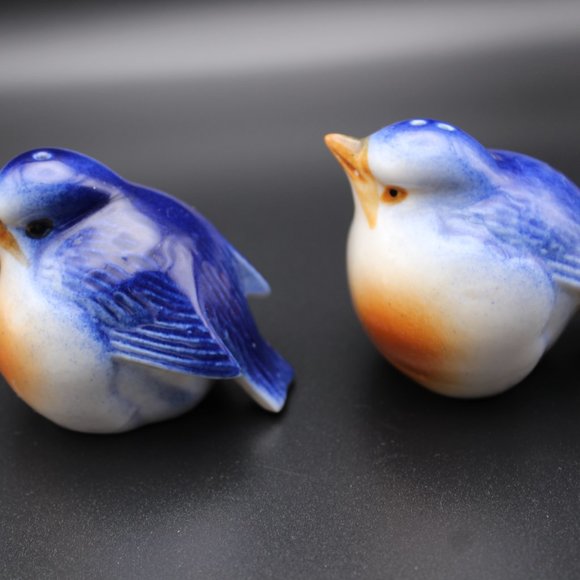 Vintage Eastern Blue Birds Salt and Pepper - Picture 2 of 13